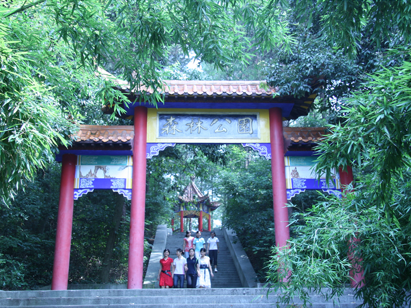  森林公園